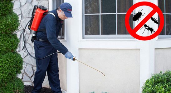 19 Mayıs Kene İlaçlama böcek ilaçlama ve haşere kontrolü — ilaclama-tr.com